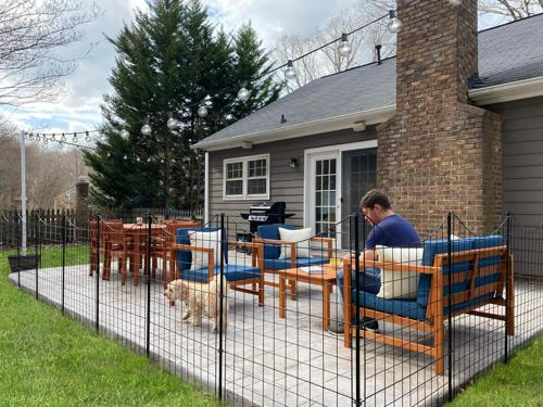 Zippity Outdoor Products 39in Semi-Permanent Black Metal Garden Fence (5 Pack)